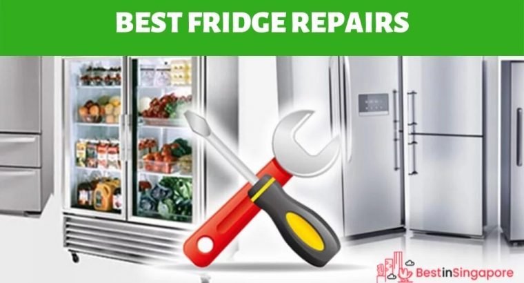 ANY FRIDGE FREZZAR REPAIR