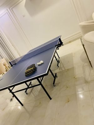 Tennis Table ping pong table