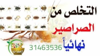 شركة مكافحة الحشرات