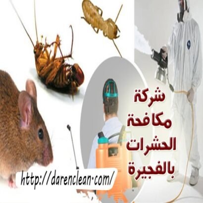 شركة مكافحة الحشرات