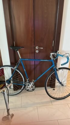 luxury cycle
