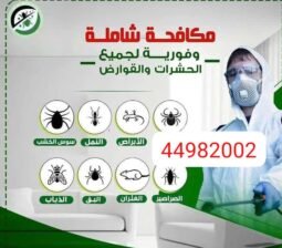 مكافحة الحشرات والقوارض