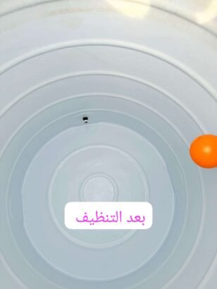 مكافحة الحشرات والقوارض