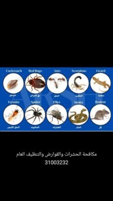 مكافحة الحشرات والقوارض